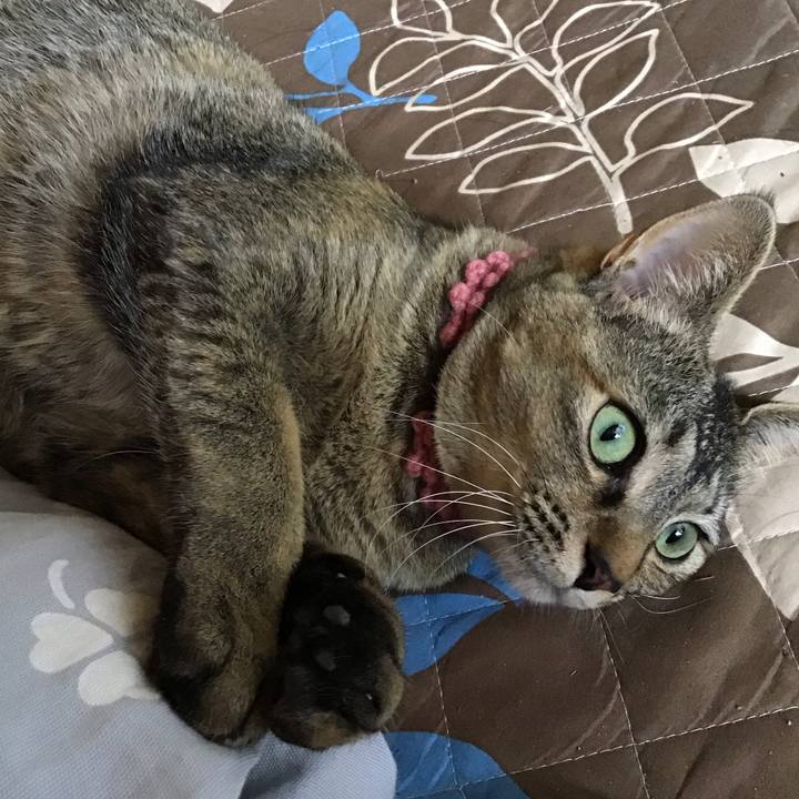 12614dc2 24e1 4ced a1d3 bd38b37ccda5 1588222704132