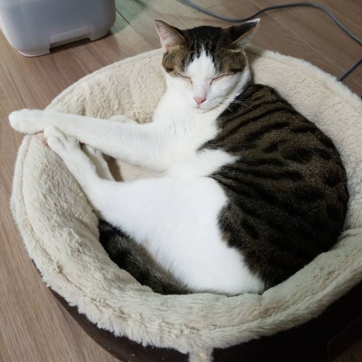 1261c0ae 2ca6 42e7 afe9 5c78c30a38af 1586382210497