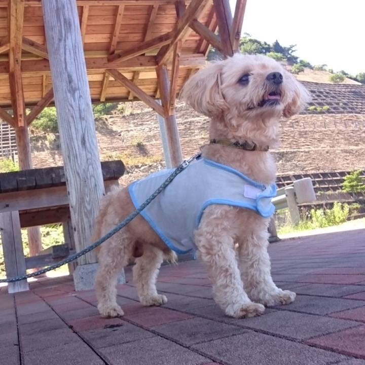 1261d6da 91cc 4db4 a1b4 9c460eb4bc35 1565241825019