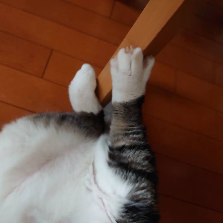 1261e57d cdb0 433b b850 2b30baf3a0f4 1593592091881