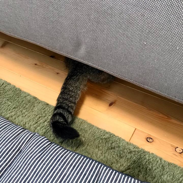 126227ef ab4b 484a ba86 8d21e01e7a64 1619572951281