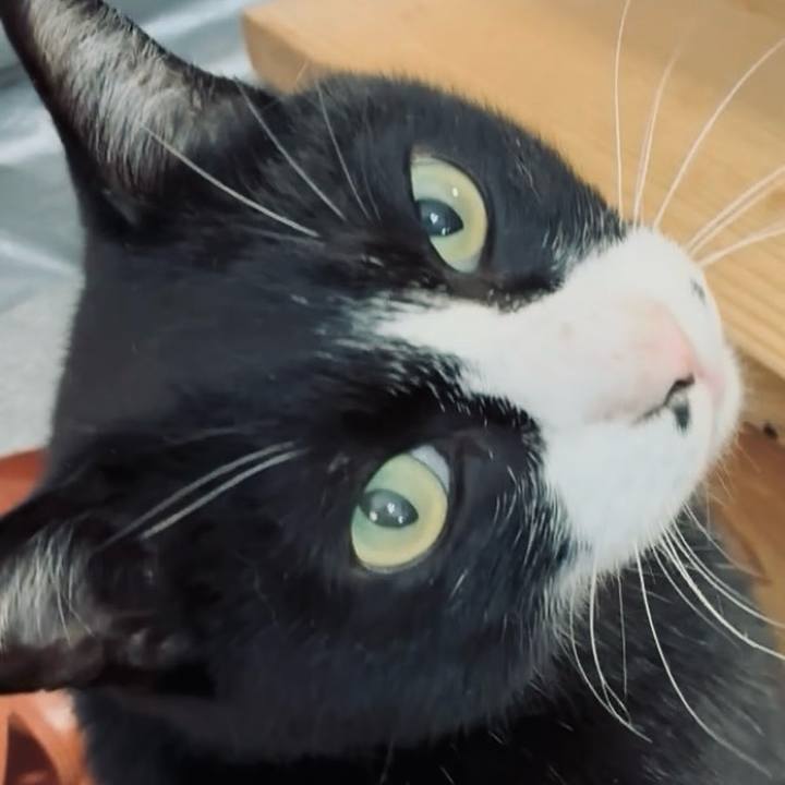 12635e3b 4ea6 4249 9817 420d45c46cab 1745459770489