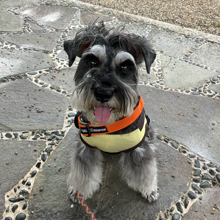 126369d4 5d2d 4d7d 8110 ca71cea7cdca 1719696322216