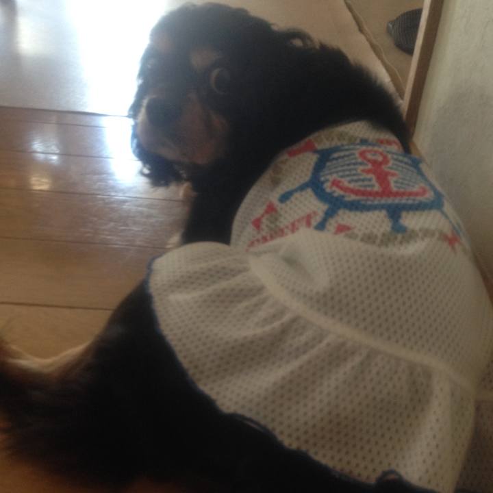 1263a7ff 0d1e 4f49 a0cd d5fde11d5ec9 1544507409364