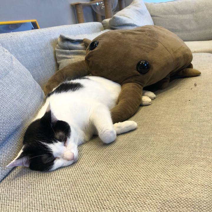 1263af0b 65c1 493f 9f8b e2a575738d8b 1627782556285