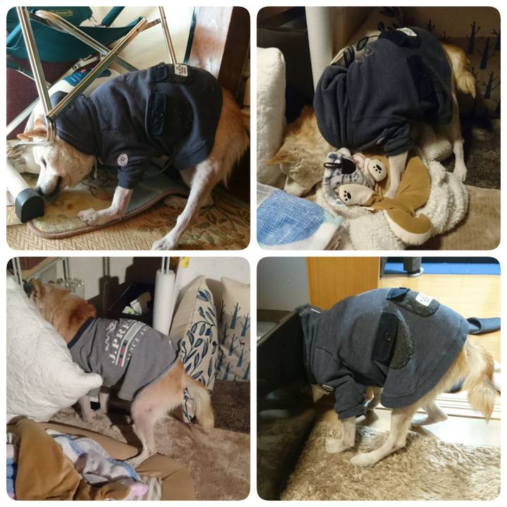 1263b5d9 28c5 43ee bfb5 61fd70e80a96 1521158577949