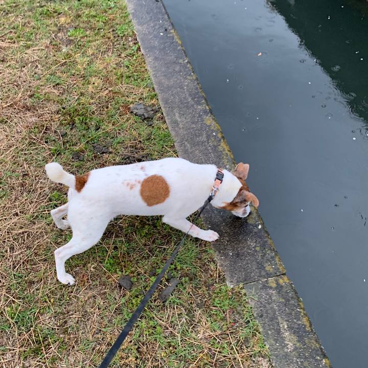 1263c5e6 fc41 43ee 9fd0 ff4d014667ab 1592133534219