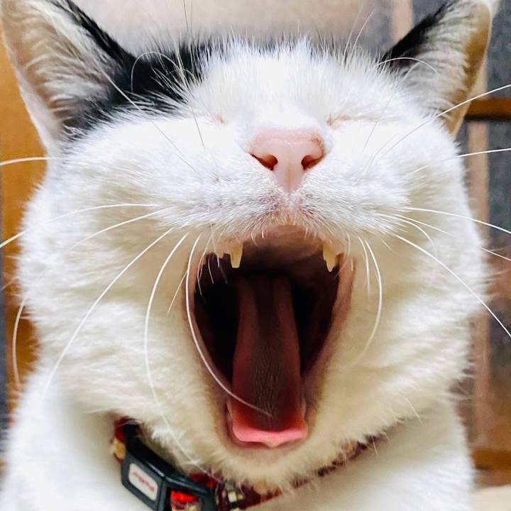 12640774 c689 4a5f aec7 857462a27f77 1715343905770