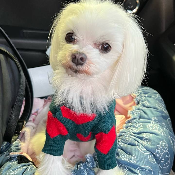 12642263 cb08 42ef b105 cd4013a6dd9b 1674162584614