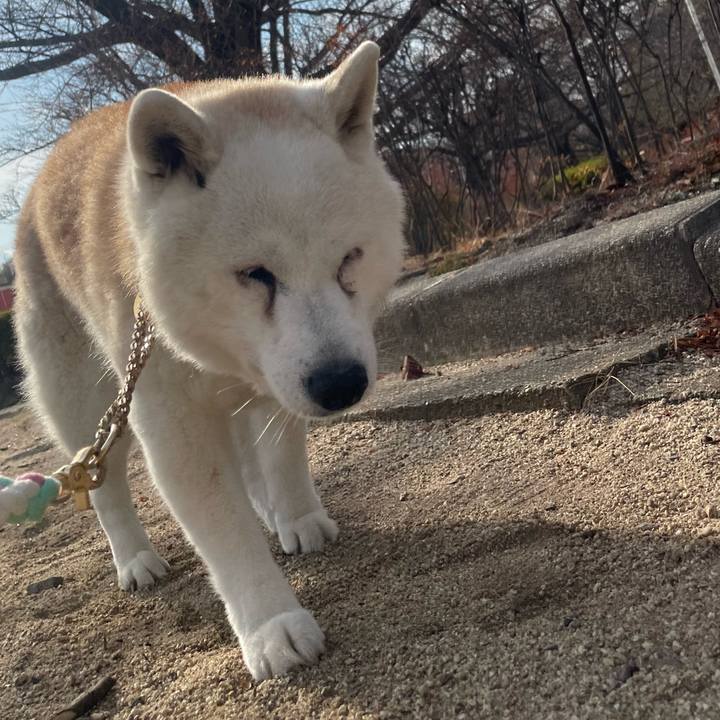 126460ec 7931 43a2 8657 753abd019a7f 1736687118354