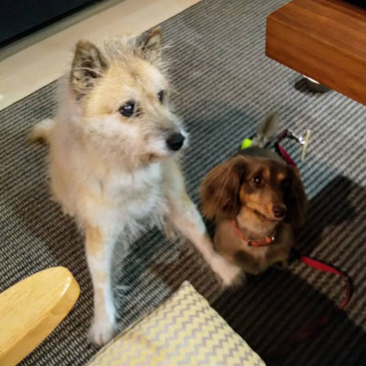 12646a99 e9b5 44a5 82c1 7fc64ccdde13 1570882931363