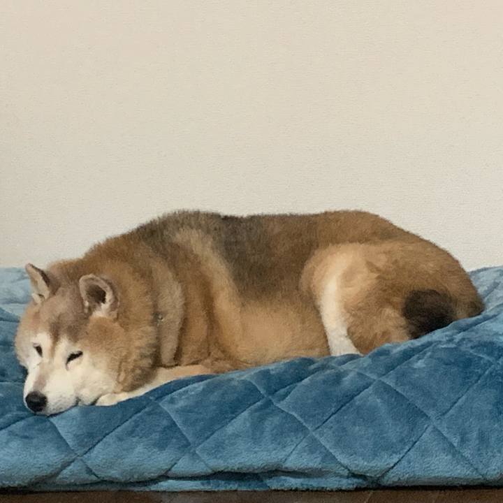 12647b6a 0aca 4819 b9c7 2594ad2c01b8 1640943083606