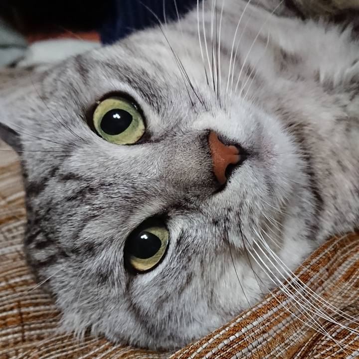 12649756 de61 40a0 b865 8ed459540bf8 1561290645266