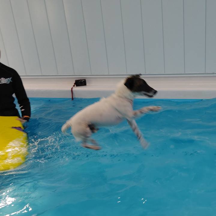 1264b34e 97ca 4359 94a4 8cb46d2c71da 1736755991648