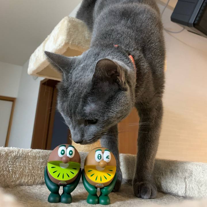 1264d697 678d 4ef2 a552 1fc622e86b47 1600590909740