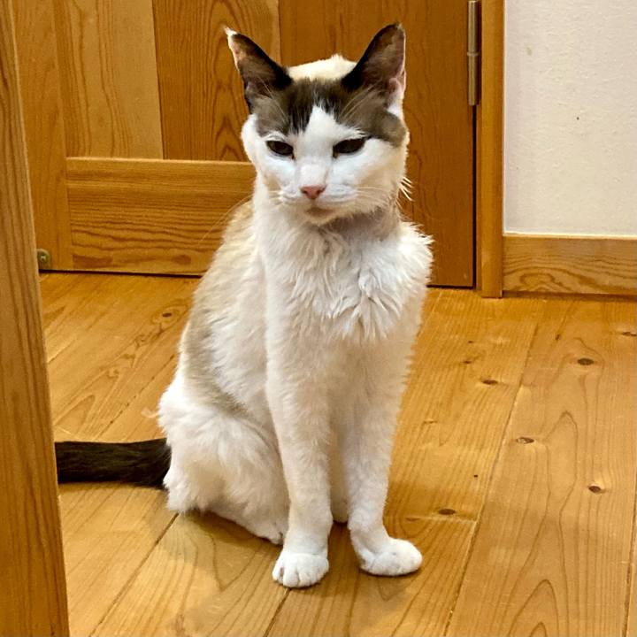 1264db66 2da7 4999 a35f d5940cfa2a29 1677921570340