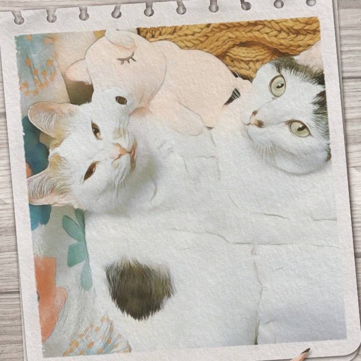 12653f57 f892 41d7 b3d2 9165e2a618ce 1607180010395