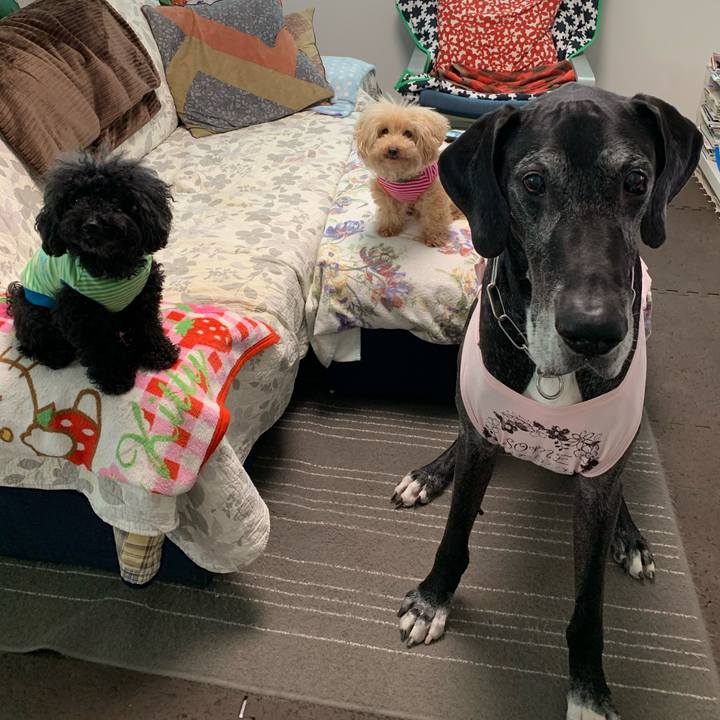 12654d64 b911 482b 93e2 c4168a4dcfd8 1589754786854