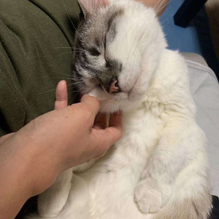 126551b3 1d8e 4e92 86b1 23db6a4354bc 1625658691831