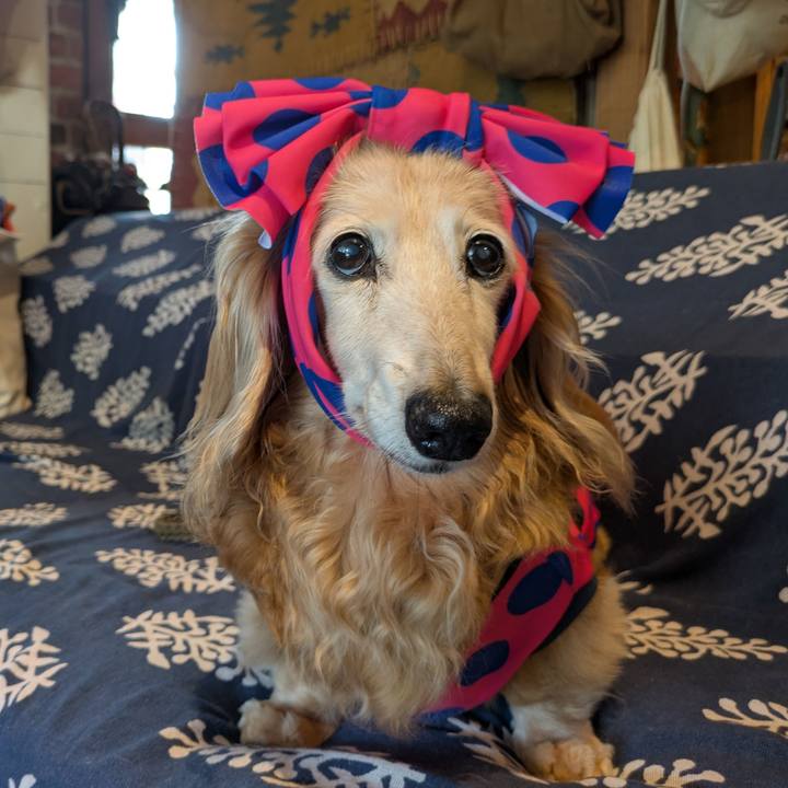 1265697d 0ce8 4f1f 97e9 ff1f422b14fc 1756697155038