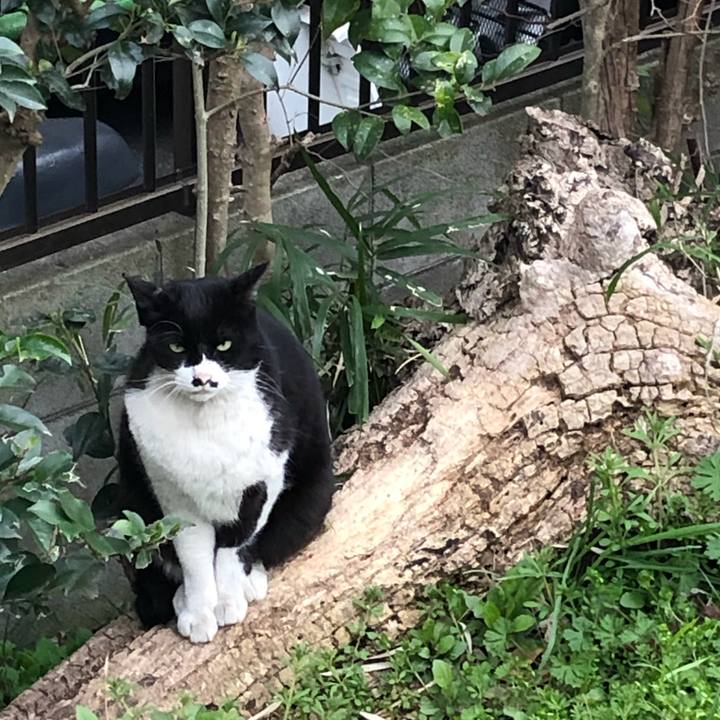 12657a16 9887 43f1 94a3 ad1af32c0f23 1552685666136