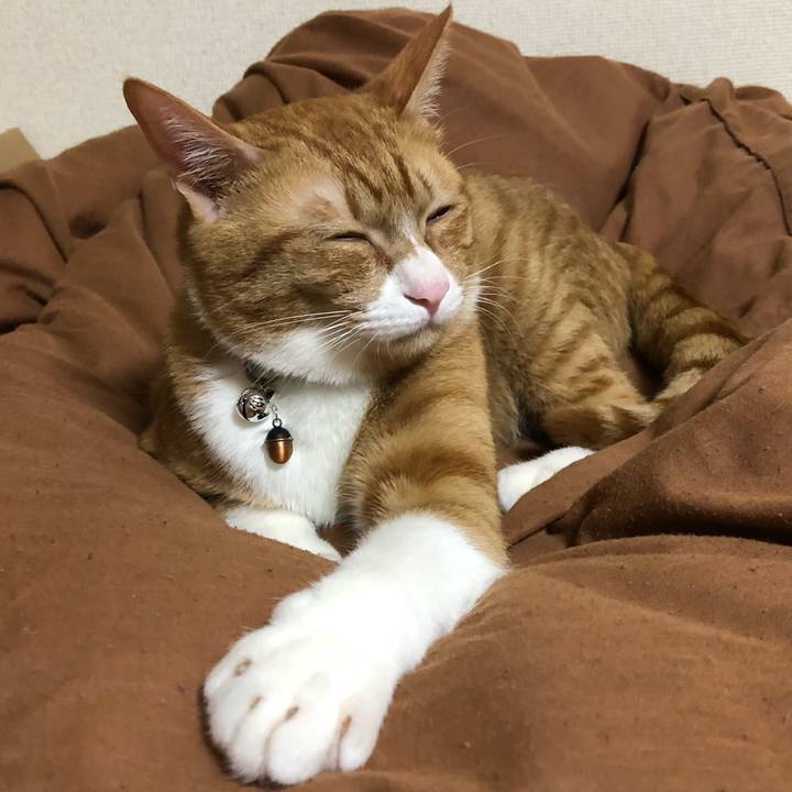 126587c2 69b4 4606 8dfb 8192720fd1b7 1559992981234