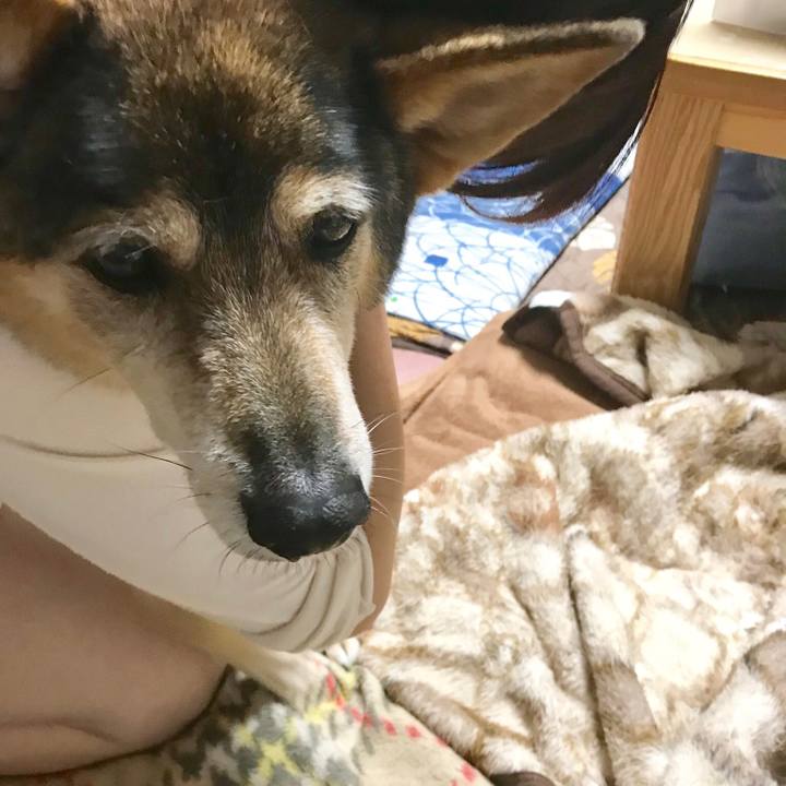 126594d7 1e77 4152 9425 15aa0959fe1b 1539623845418