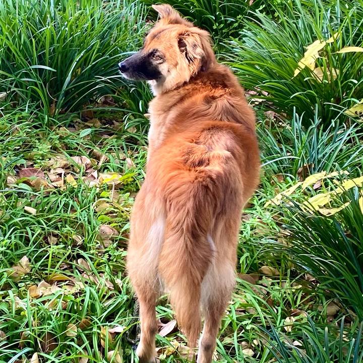 1265b267 e337 4a69 a0c0 6fa54e8b10fe 1764656159207