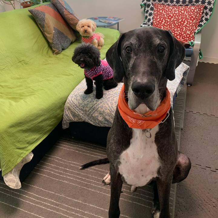 1265f0fa 3750 4cb6 9e48 dc92bbb291b5 1565046104429