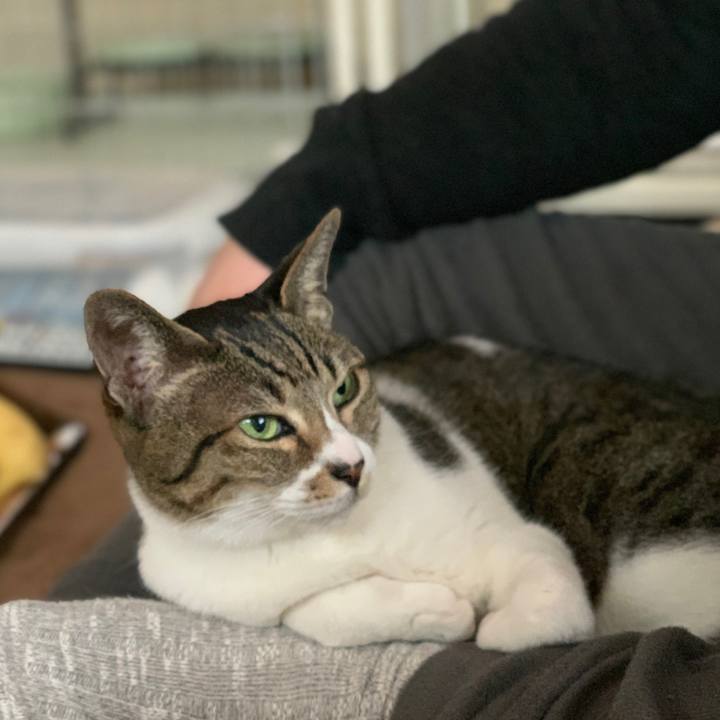 126600c8 41e4 4371 83ff ea862b1a6557 1550192779195