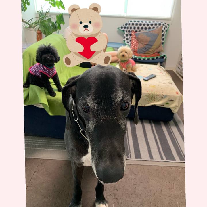 12663865 d17a 4b70 a545 2b471c7056d0 1557699876089