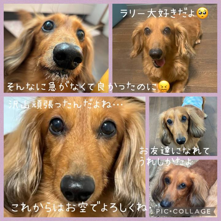 126640f7 8cc5 4856 b16c cf64e6014496 1717637205136