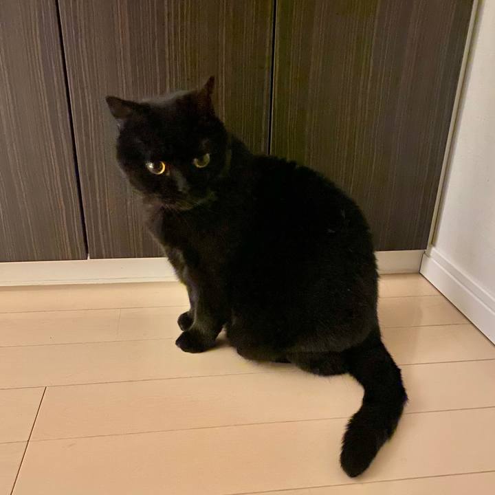 12664ad3 618b 4e6b 9d48 4d4e10481085 1729601449884