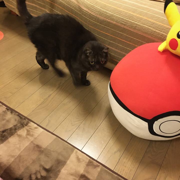 12665532 1bbd 4ec7 8e03 2511c6cd3569 1581813529121