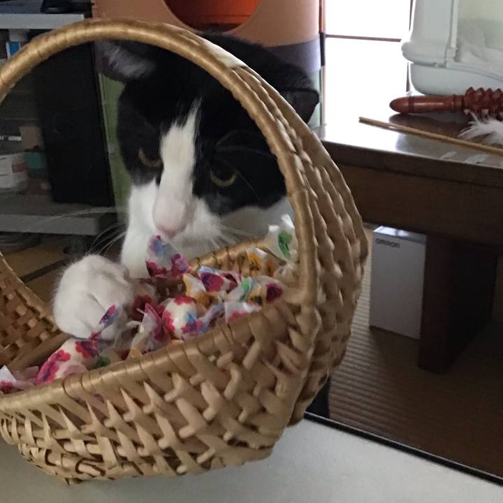 12666e20 10a6 47a0 9f71 67c4cea14fa0 1656562332412