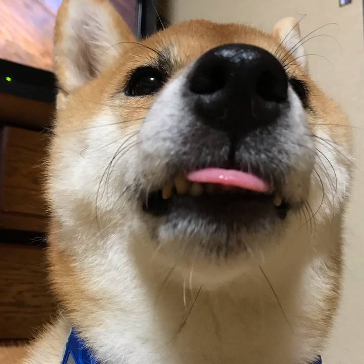 12669ff7 d9d6 4ee3 afaf 02b16e213dbc 1599827825512