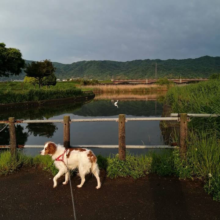 1266aab4 9284 4fb3 a0d4 91d79e3734c0 1620387111852