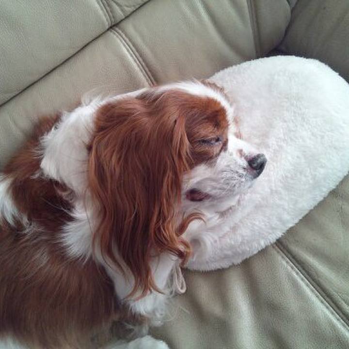 1266ac00 3c39 42ea 9a30 3841537c20c4 1586384715305