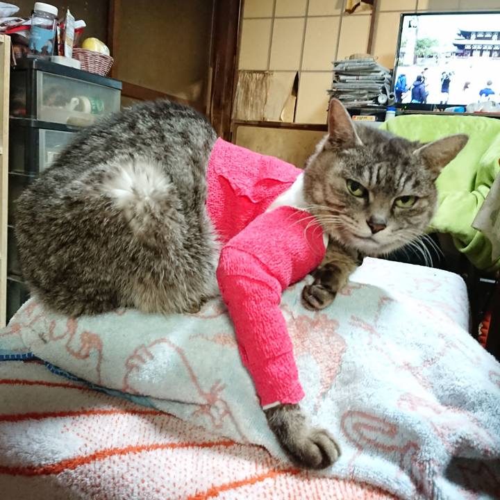 1266daec c020 4af2 a021 97394132ddd2 1586602912743