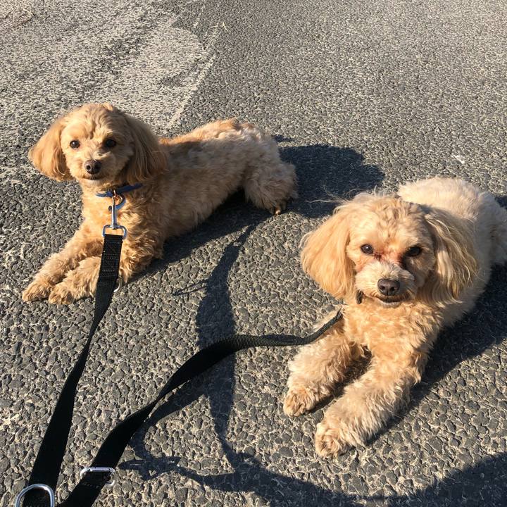 12675ae9 30dd 4393 8d07 150c4a1bef66 1611215267886