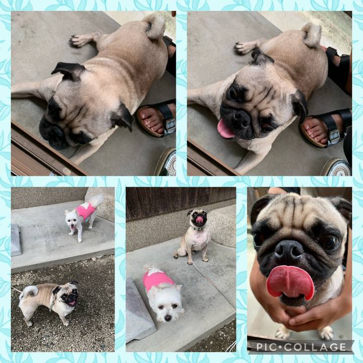 126772b8 96d8 47a6 b555 aec3157eb33b 1629631287805