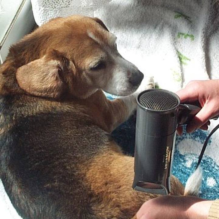 12677d89 b45f 4a57 8372 1fa928a934c5 1638664472090