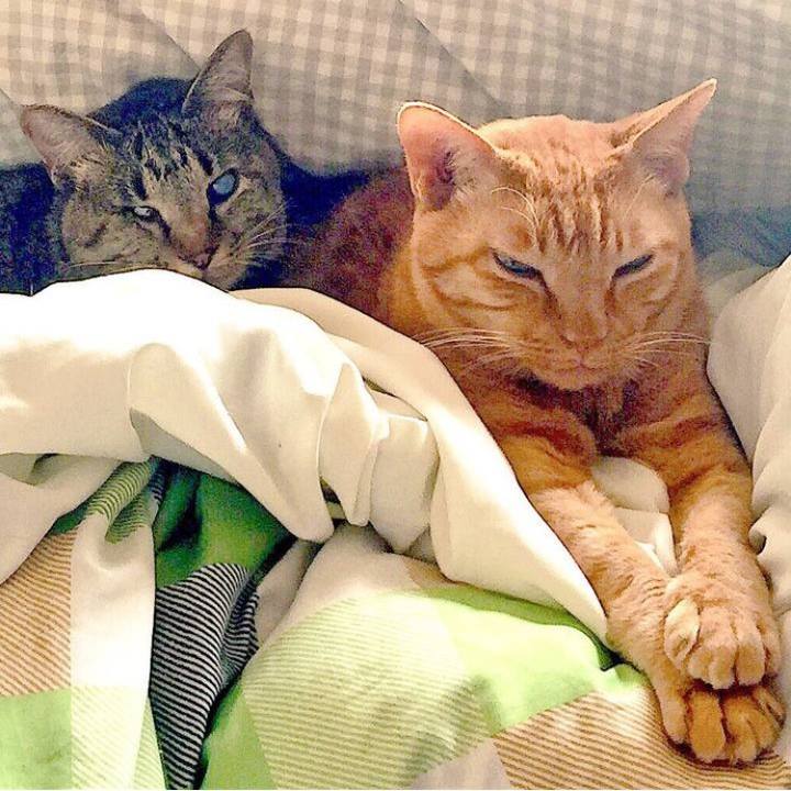 1267b1f3 0a31 431b a0bc 6cec24a16498 1718064625326