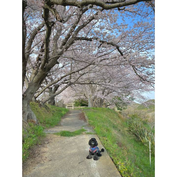 12682316 b739 472c 96f0 c2e947bf2cf8 1648553396622