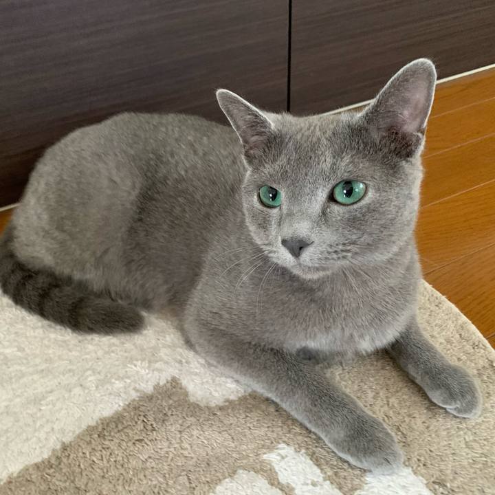 12683445 9d4b 48c0 8e5b 31fdf08a5453 1579412333890