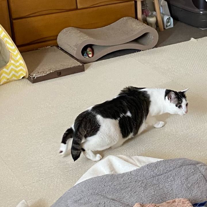 1268380f a450 4d24 868a ac03e0fbb3c0 1764571084587