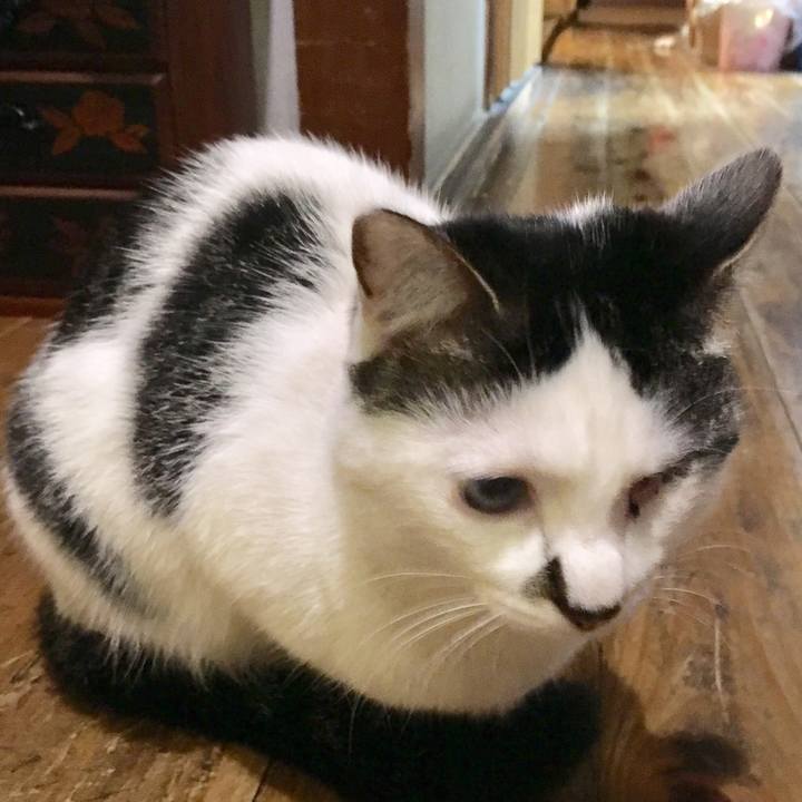 12687cb6 a214 4851 8056 87826b3998bd 1521081081086