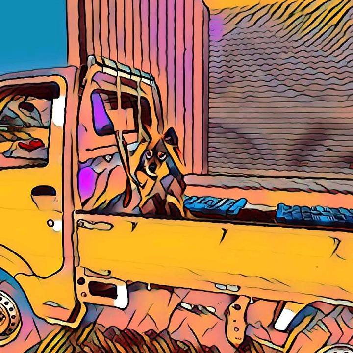 12687cc0 4961 4683 baba fdd7c10f2dd6 1614837768444