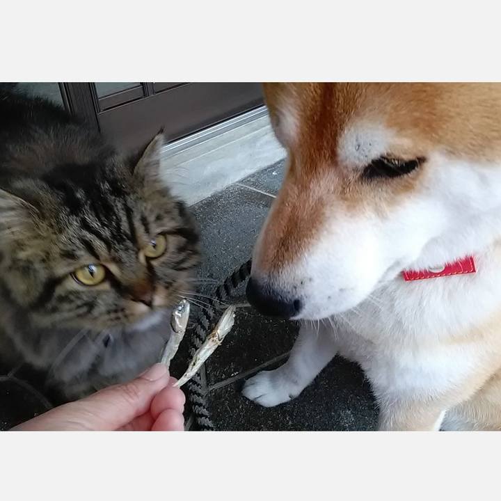 12687d1b fd31 42cf bf86 145add6f7f59 1621759630068