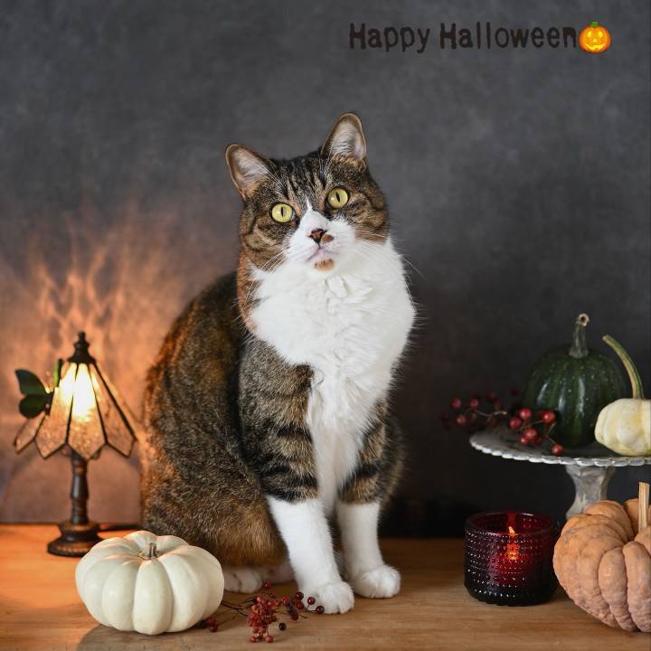 1268ace8 cf34 4009 b73a 071709c042b0 1761875453858